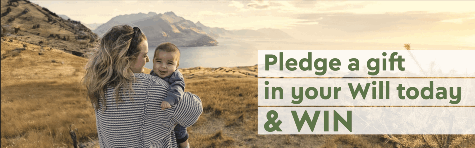 Gift in Will – Website Banner
